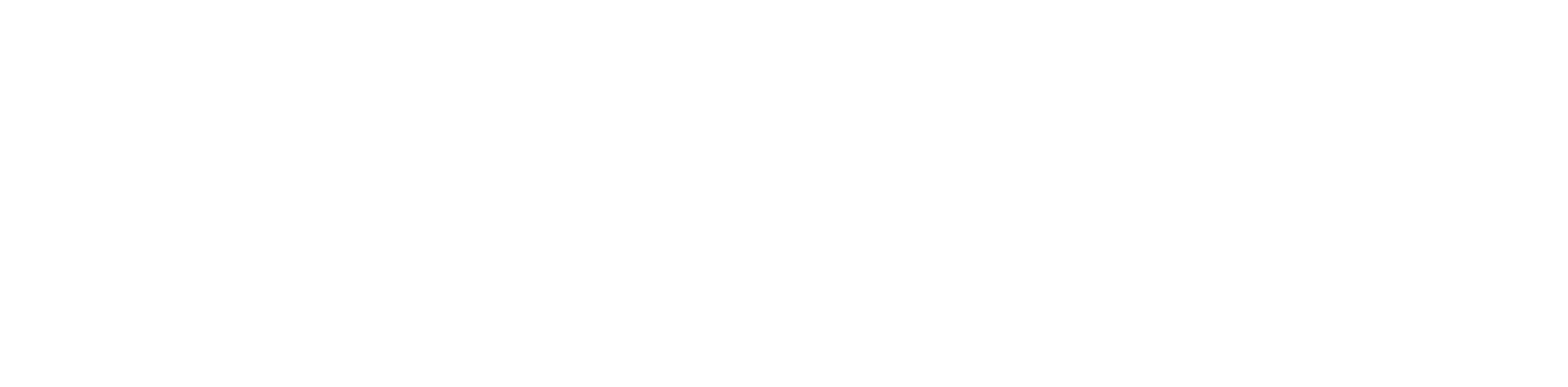 Huella Chile